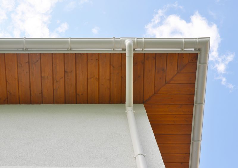 Exterior Window Trim Service in Overland Park, KS